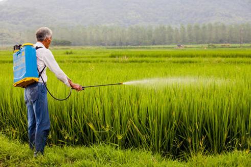 草甘膦消泡劑應用場景圖