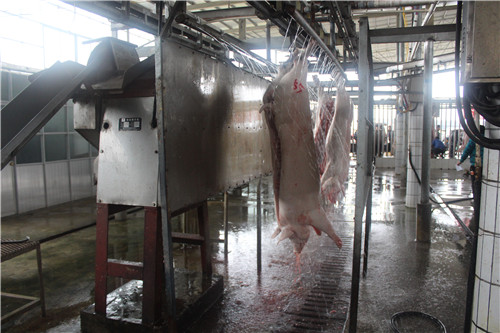 屠宰場消泡劑應(yīng)用場景圖