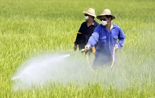 農(nóng)藥消泡粉應(yīng)用場景圖