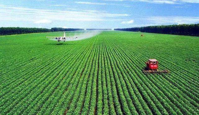 葉面肥泡沫多怎么辦？可以使用葉面肥消泡劑