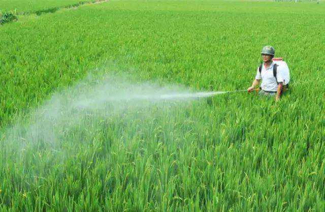 農(nóng)藥乳化劑用農(nóng)藥乳化劑起泡原因分析，泡沫過(guò)多怎么解決？泡劑